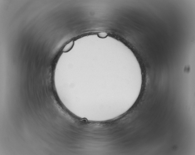 X0000112081450200909151101