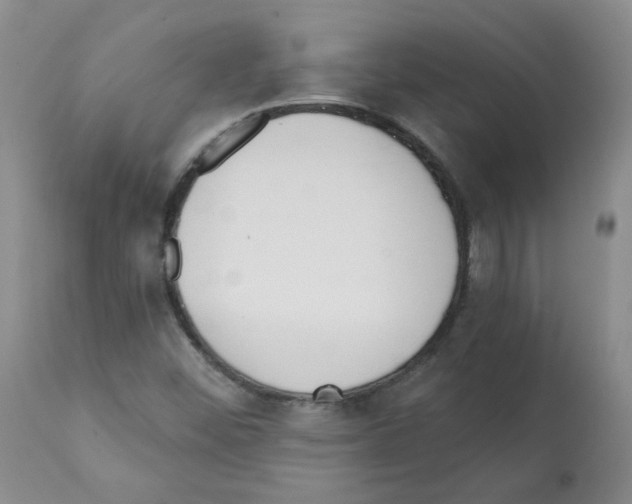 X0000112081452200909151101