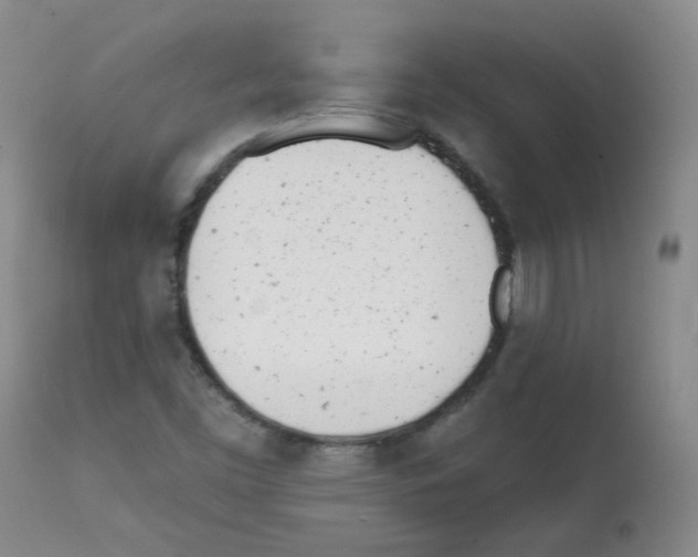 X0000112081453200909151101