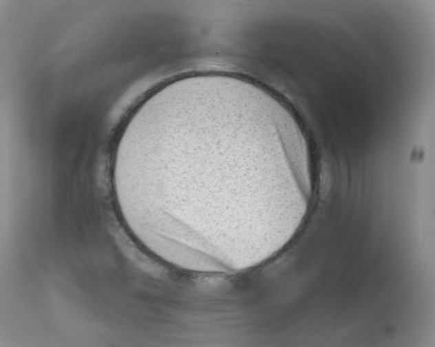 X0000112081454200909151101