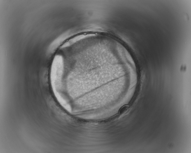 X0000112081455200909151101