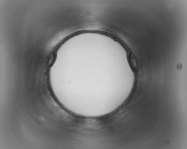 X0000112081456200909151101