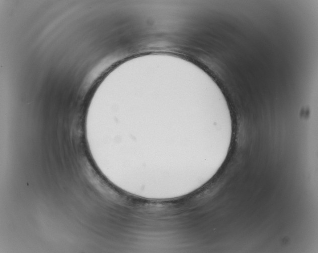 X0000112081458200909151101