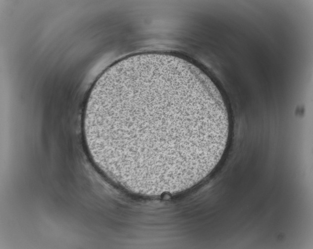 X0000112081459200909151101