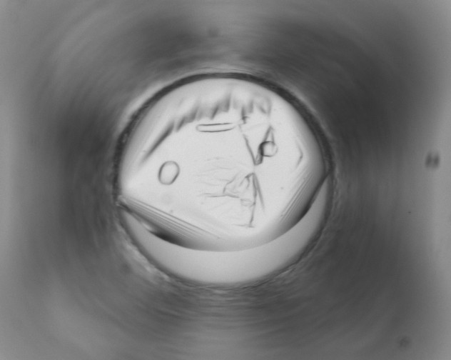 X0000112081460200909151101