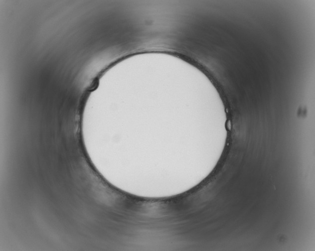 X0000112081461200909151101