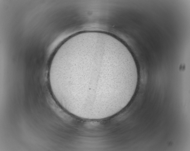 X0000112081462200909151101