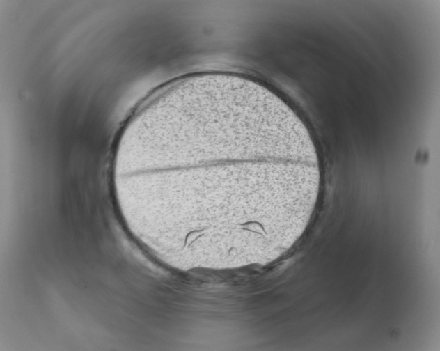 X0000112081463200909151101