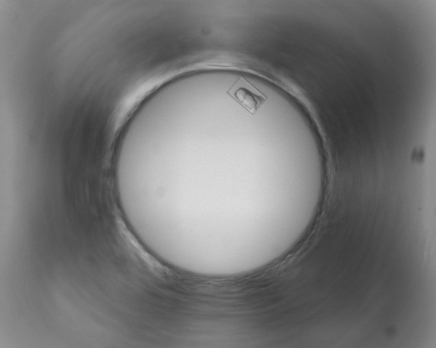 X0000112081464200909151101