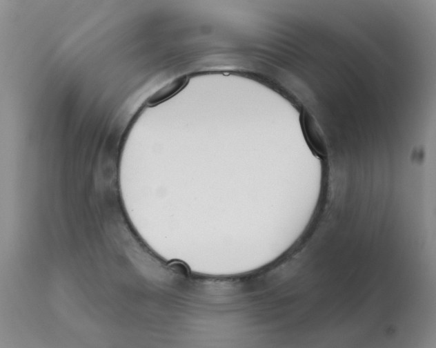 X0000112081465200909151101