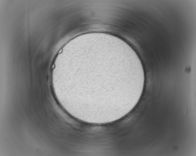 X0000112081467200909151101