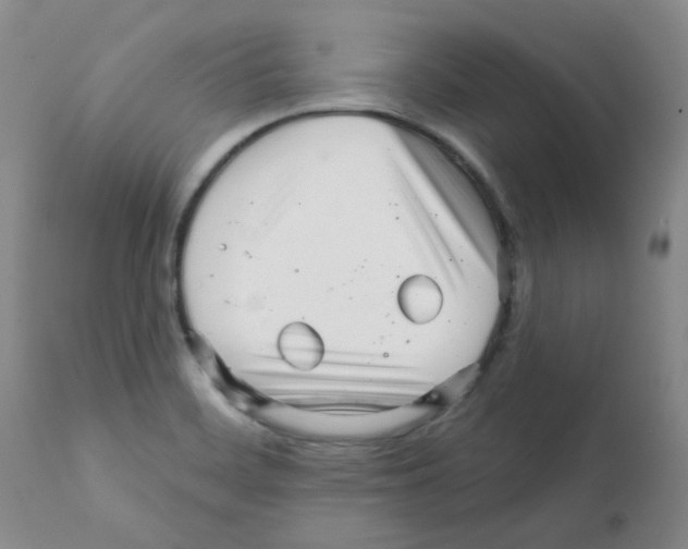 X0000112081468200909151101