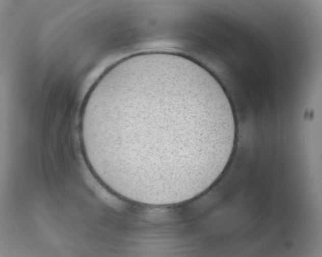 X0000112081470200909151101