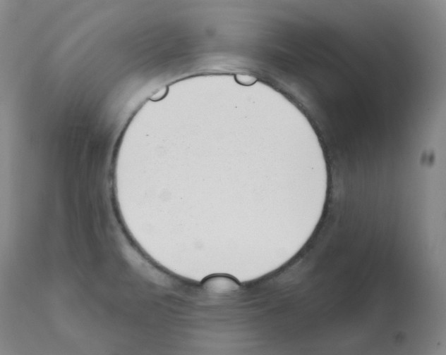 X0000112081471200909151101
