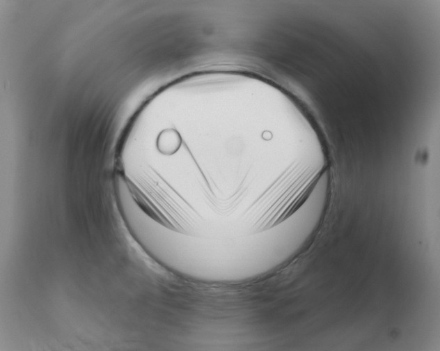 X0000112081472200909151101