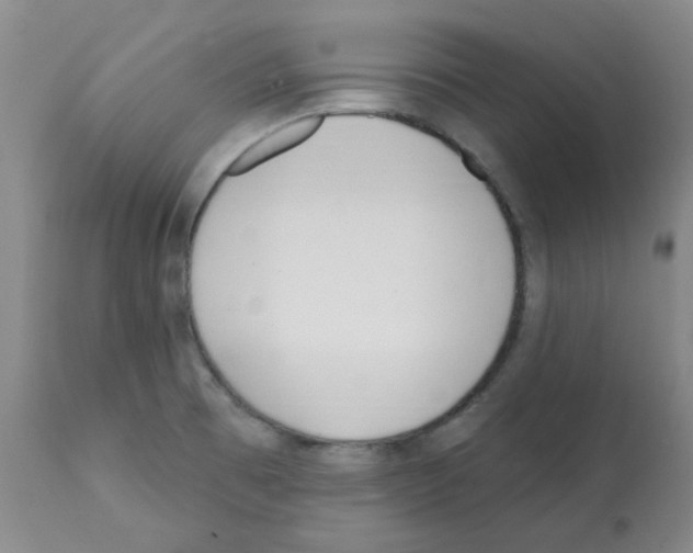 X0000112081473200909151100