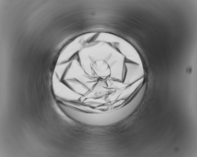 X0000112081476200909151100