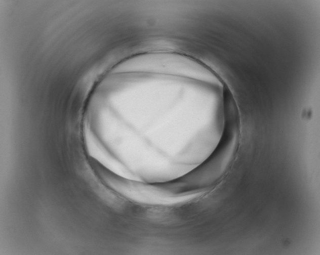 X0000112081477200909151100