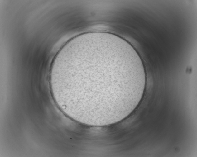 X0000112081478200909151100