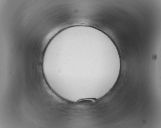 X0000112081480200909151100