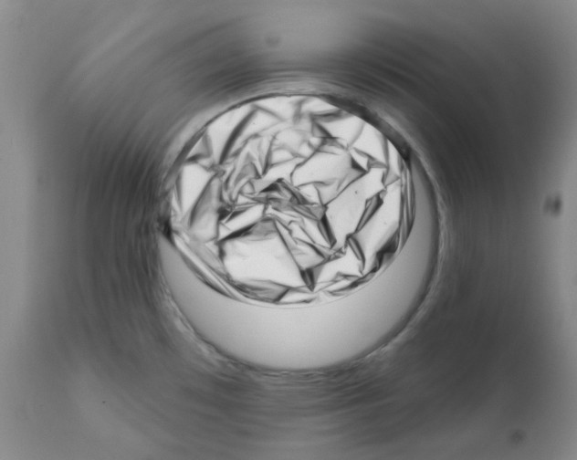 X0000112081481200909151100
