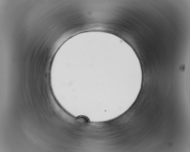 X0000112081483200909151100