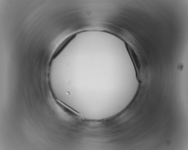 X0000112081484200909151100