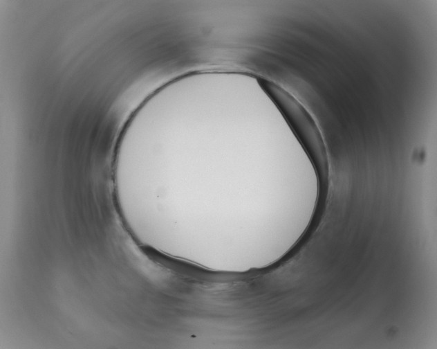 X0000112081485200909151100
