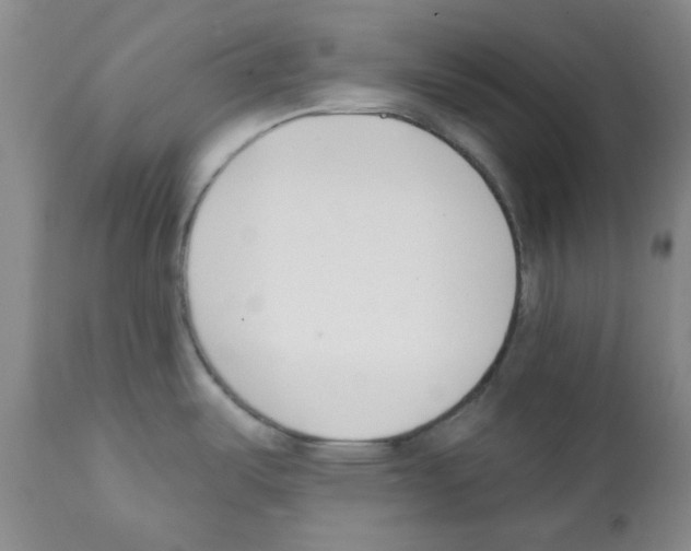 X0000112081487200909151100