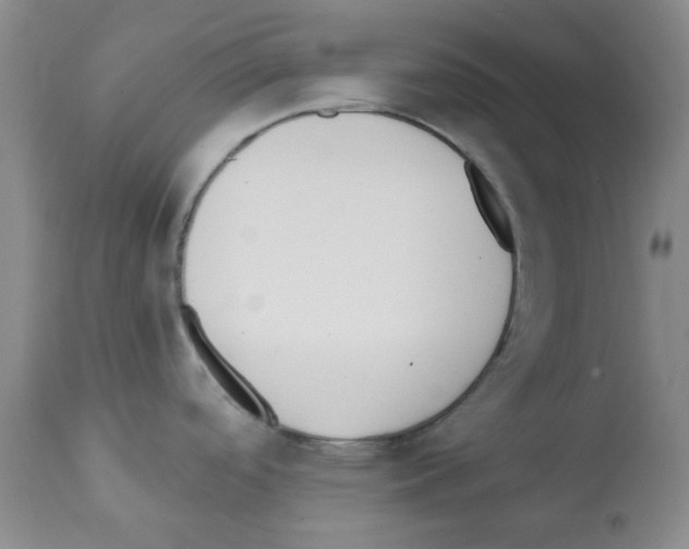 X0000112081488200909151100