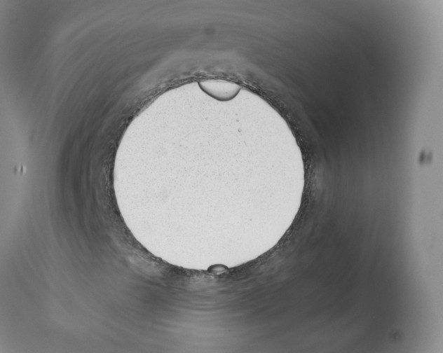 X0000112081489200909151059