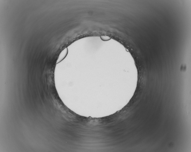 X0000112081490200909151059