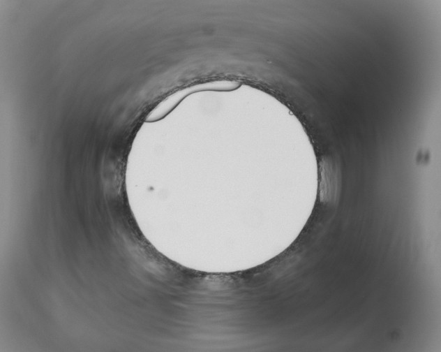 X0000112081491200909151059