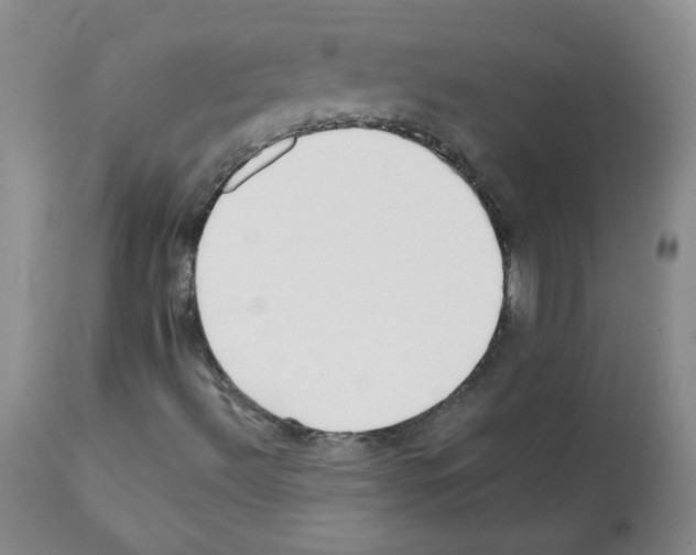X0000112081492200909151100