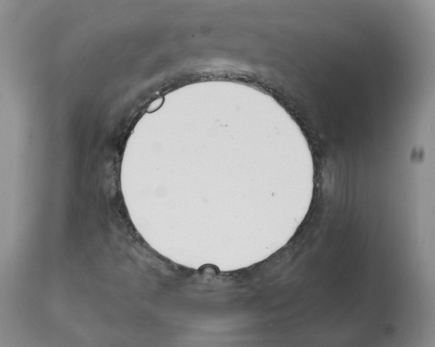 X0000112081493200909151100