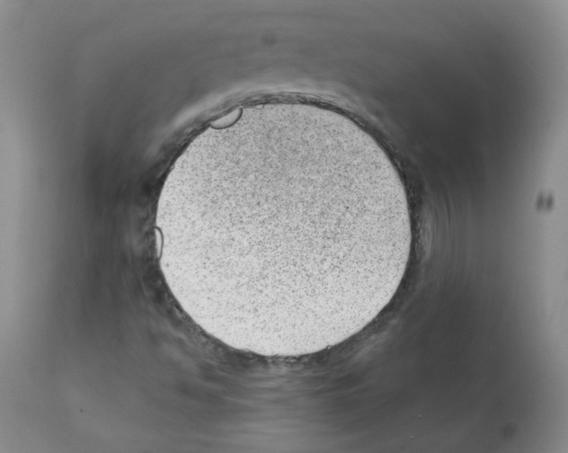 X0000112081494200909151100
