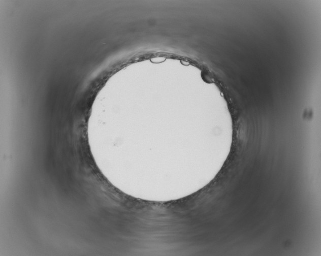 X0000112081495200909151100