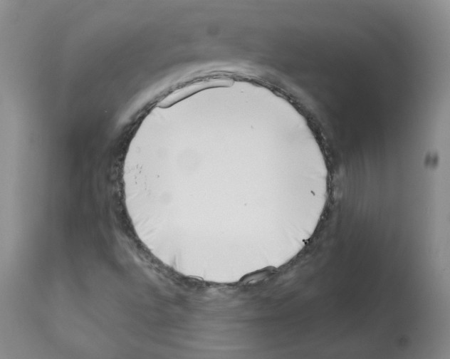 X0000112081496200909151100
