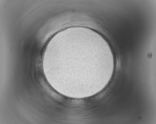 X0000112081498200909151100