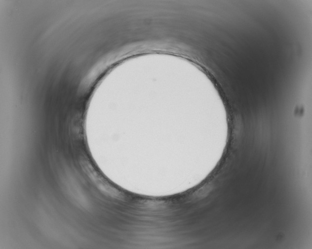 X0000112081499200909151100
