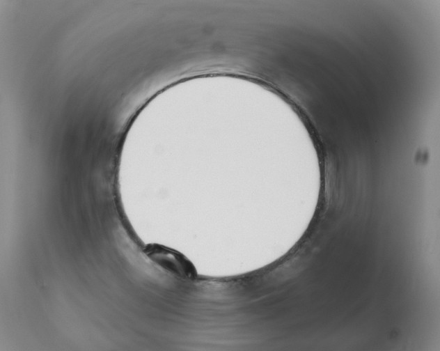X0000112081500200909151100