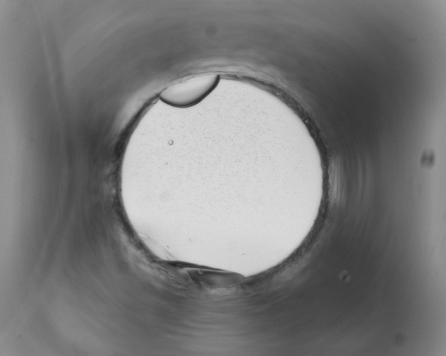 X0000112081501200909151100