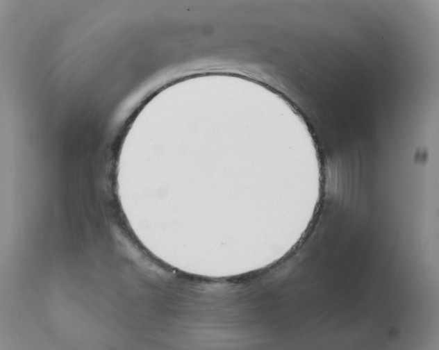 X0000112081502200909151100