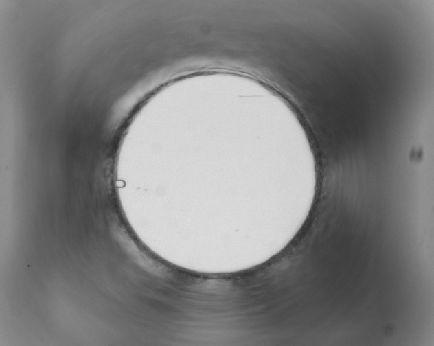 X0000112081503200909151100