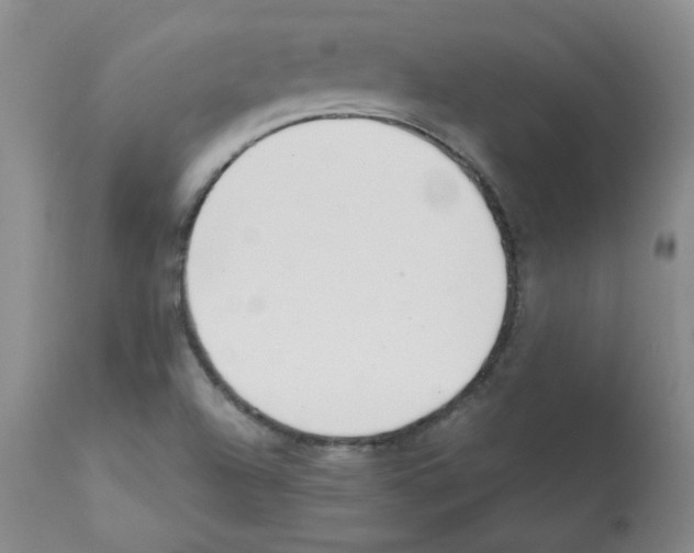 X0000112081504200909151100