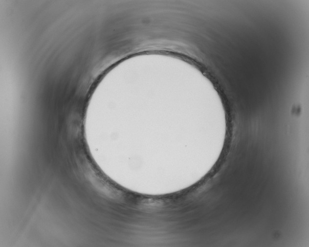 X0000112081505200909151100