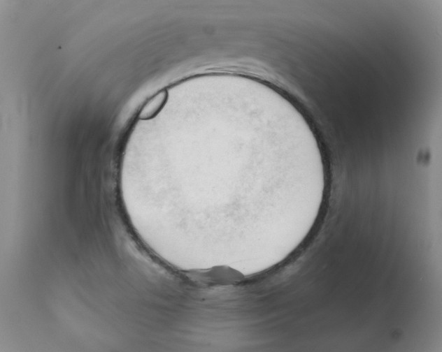 X0000112081506200909151100