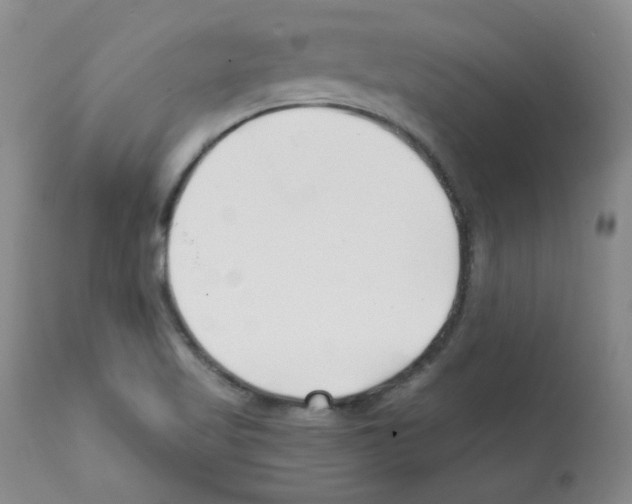 X0000112081509200909151100