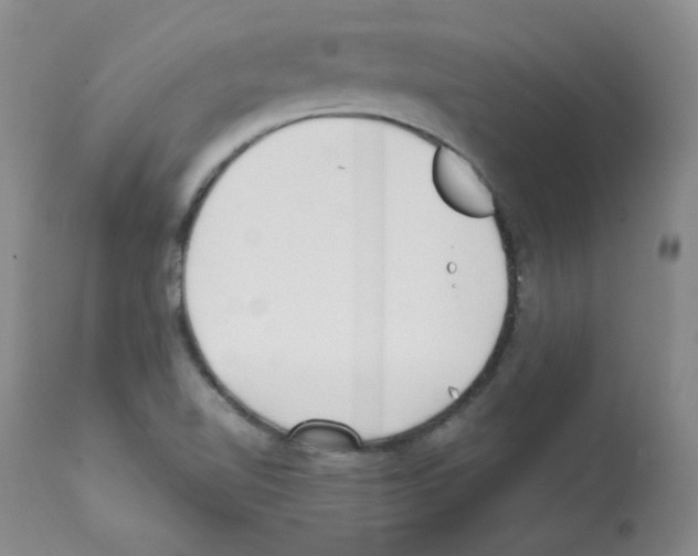 X0000112081510200909151100