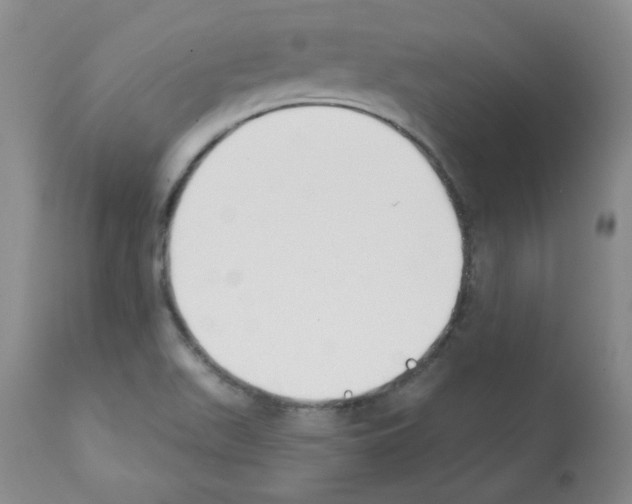 X0000112081511200909151100